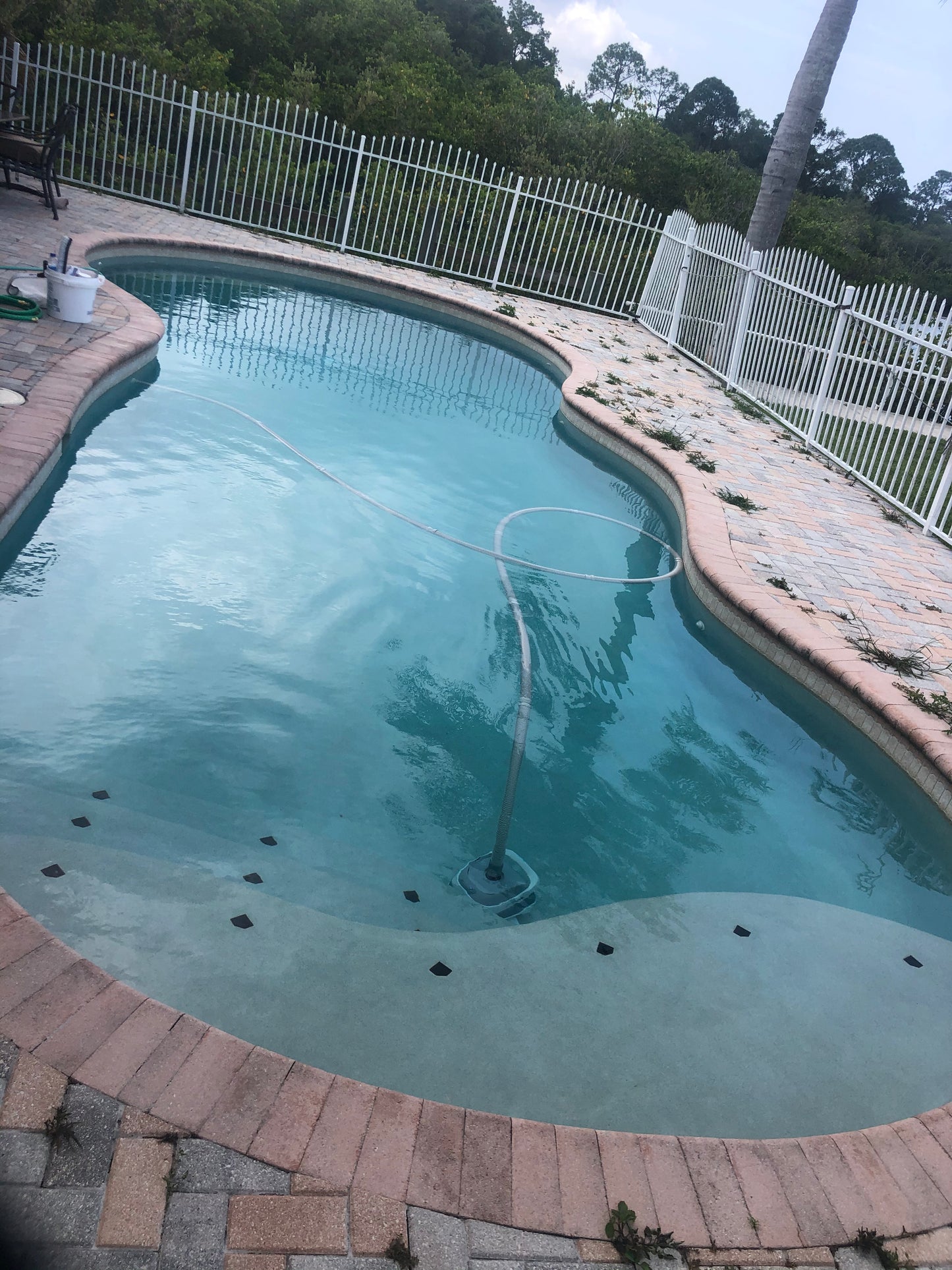 No-Vac Full Service